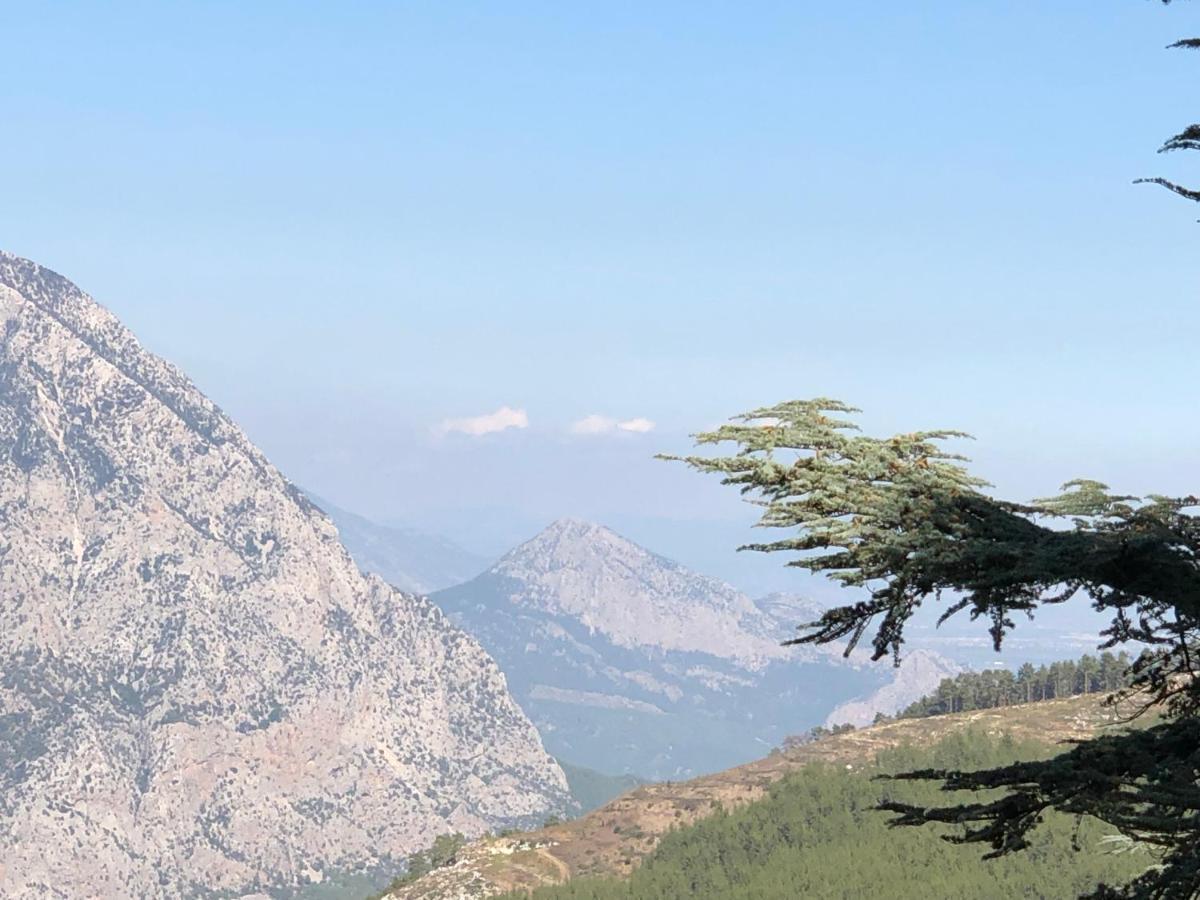 Yenivadi Villa Antalya Eksteriør billede
